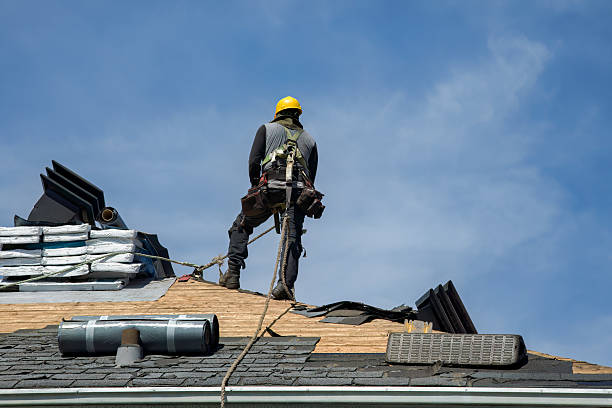 Professional Roof Replacement technician working in Halifax, PA